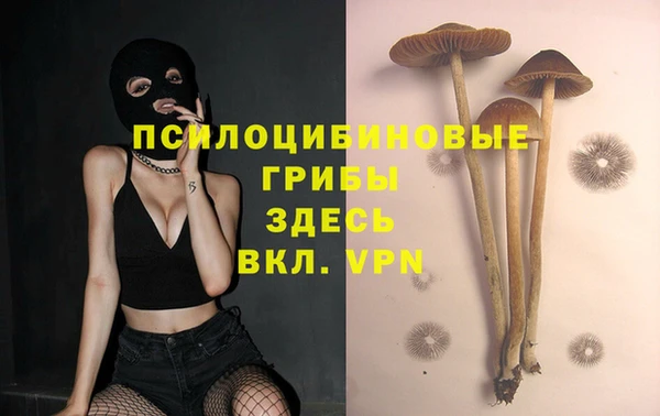 крисы Абинск