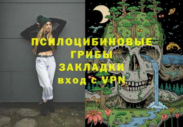 гашик Сафоново