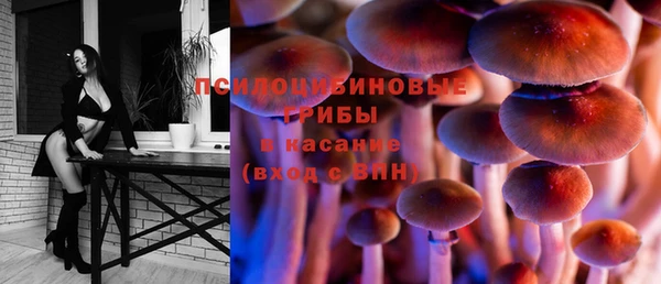 Альфа ПВП Абаза